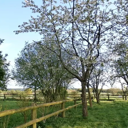 Holiday home Le Courlis